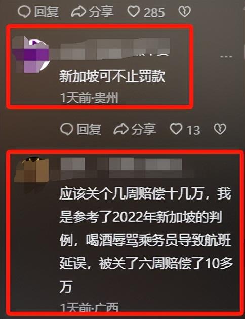 回应更多细节曝光网友说是“惯犯”龙8国际唯一女子逼停飞机新后续：(图10)