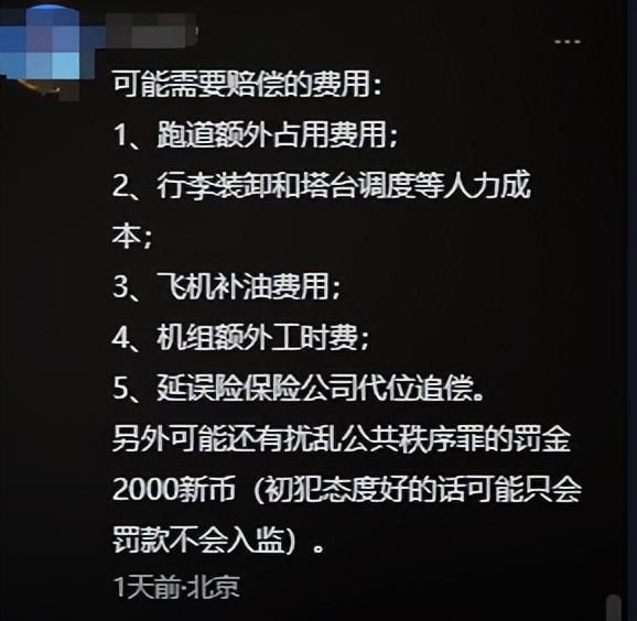 回应更多细节曝光网友说是“惯犯”龙8国际唯一女子逼停飞机新后续：(图13)